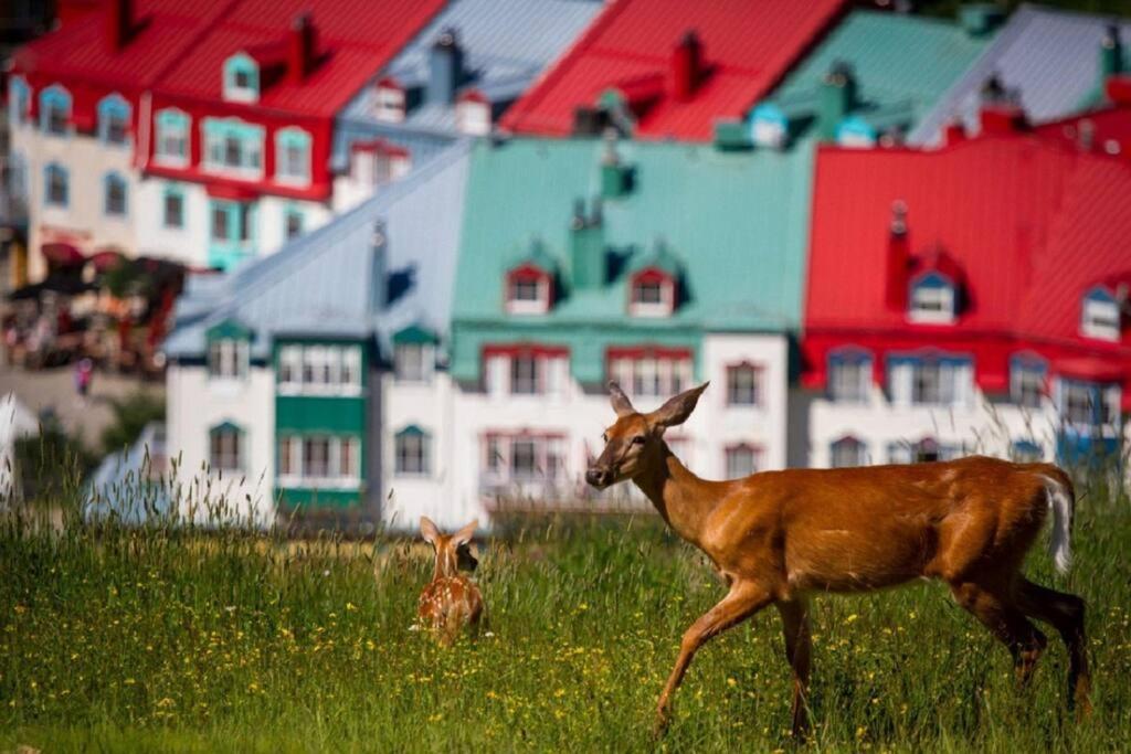 Deluxe Suite-Sur-Lac Superieur - Tremblant Versant Nord Buitenkant foto